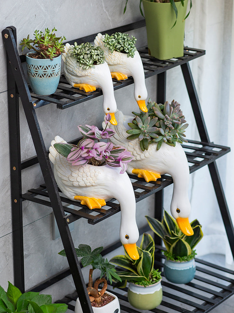 Lovely Duck Fleshy Flowerpot Living Room
