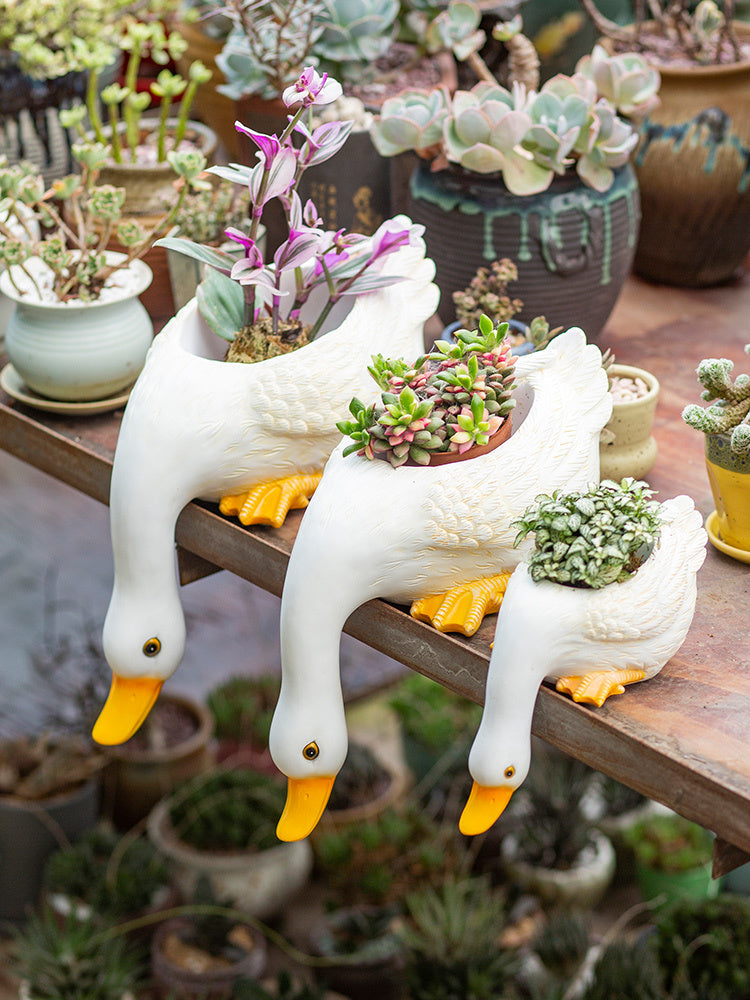 Lovely Duck Fleshy Flowerpot Living Room